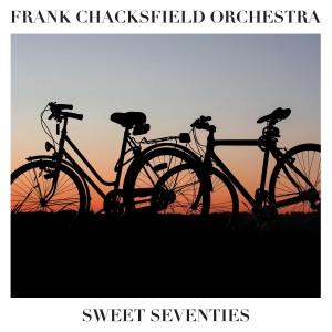 ดาวน์โหลดและฟังเพลง Heart Of Gold พร้อมเนื้อเพลงจาก Frank Chacksfield Orchestra