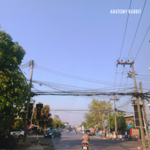 Dengarkan lagu Happy Valentine's Day nyanyian Anatomy Rabbit dengan lirik