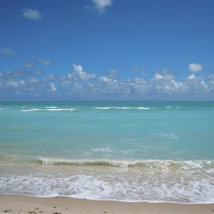 ดาวน์โหลดและฟังเพลง In Waves พร้อมเนื้อเพลงจาก RhythmDb