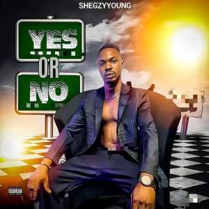 收听Shegzy Young的Yes or No (Remix)歌词歌曲