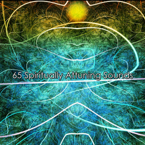 Album 65 Spiritually Attuning Sounds oleh Nature Sounds Artists