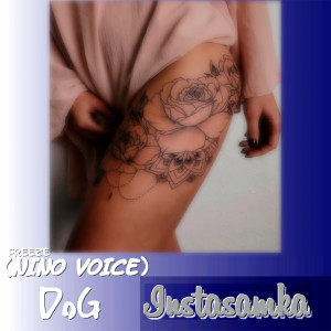 Album Instasamka (Explicit) from Freeze (NiNo Voice)