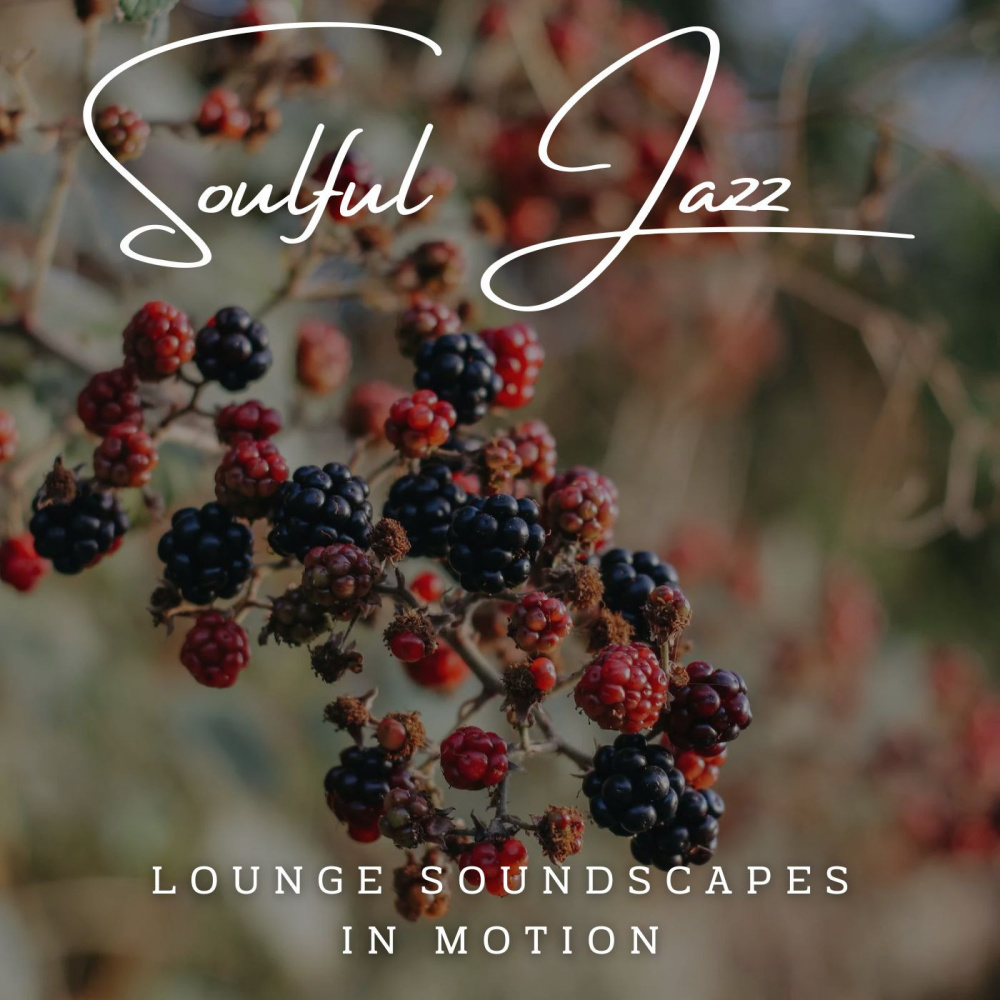 Lounge Lullaby Serenade