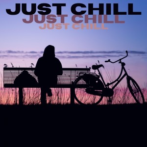 Album Just Chill from Various