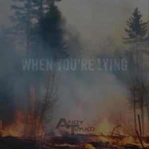 Andy Timko的專輯When You're Lying