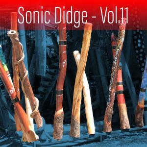 Album Sonic Didge, Vol. 11 from Sacred Didj