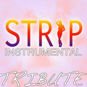 ดาวน์โหลดและฟังเพลง Strip (其他) พร้อมเนื้อเพลงจาก Chris Brown Cover Band