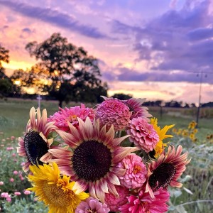 Listen to Supermarket Flowers (cover: Ed Sheeran) (完整版) song with lyrics from Angela Dai
