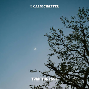 Calm Chapter的專輯Turn The Page