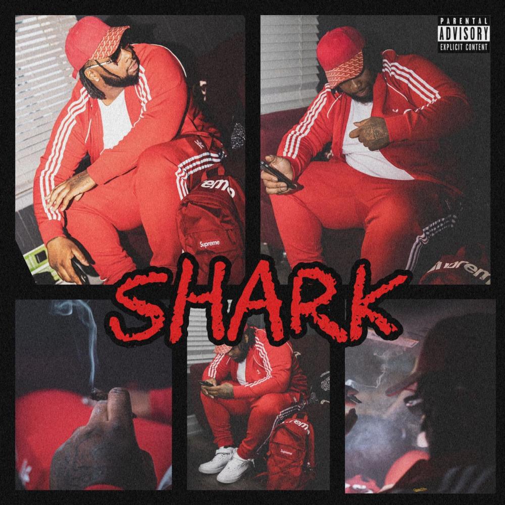 Shark Business (feat. Stackboi Ty) (Explicit)