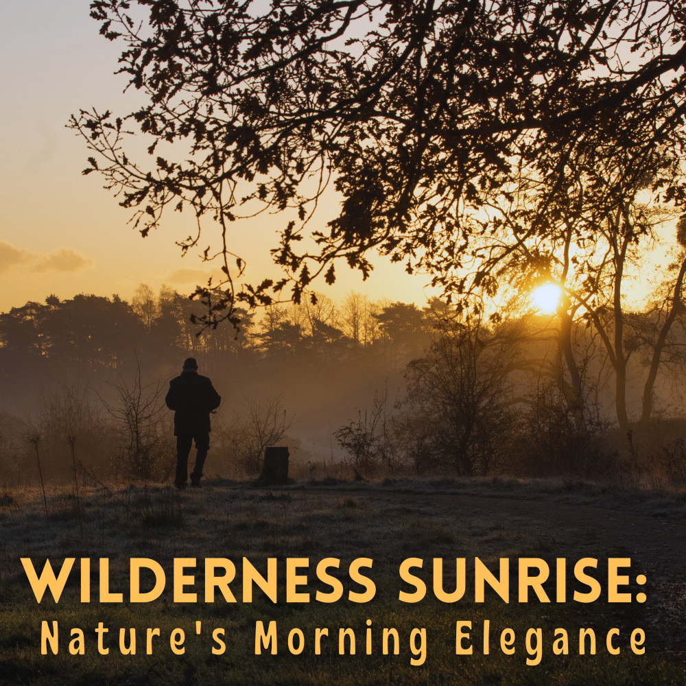 Wild Harmony of the Morning