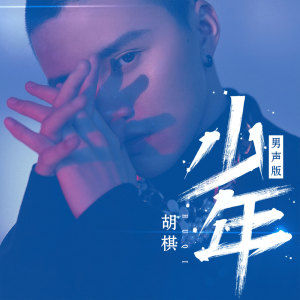 Listen to 少年 (男声版) song with lyrics from 胡棋