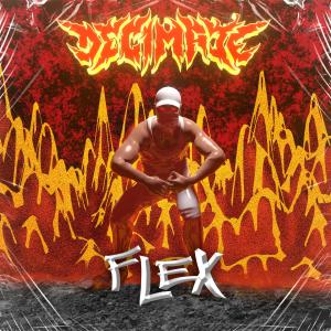Listen to Flex song with lyrics from Decimate