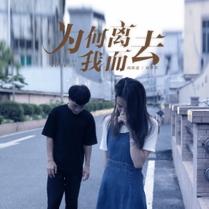 收聽楊路遙的爲何離我而去（1.38x） (完整版)歌詞歌曲