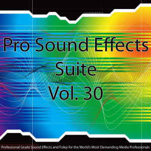 Pro Sound Effects Suite的專輯Pro Sound Effects Suite 30 - Sound Design Elements