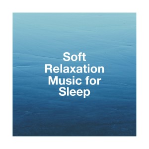 Album Soft Relaxation Music for Sleep oleh Relaxation and Meditation