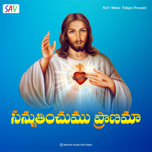 收听M M Srilekha的Sannuthinchumu Pranamaa歌词歌曲