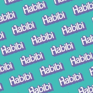 收听Mmj Dkr的Habibi remix歌词歌曲