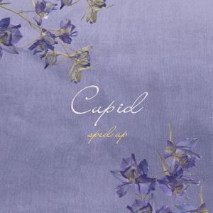 ดาวน์โหลดและฟังเพลง Cupid (Sped Up) พร้อมเนื้อเพลงจาก Chris Stonny