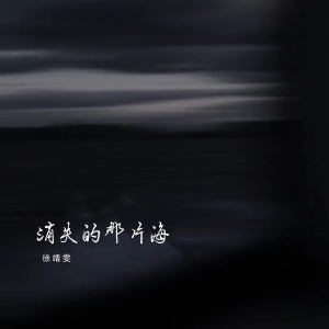 Listen to 消失的那片海 song with lyrics from 徐靖雯