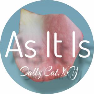 Listen to As It Is (Explicit) song with lyrics from Dally Cat. XxY