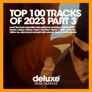 Various Artists的專輯Top 100 Tracks of 2023 part 3