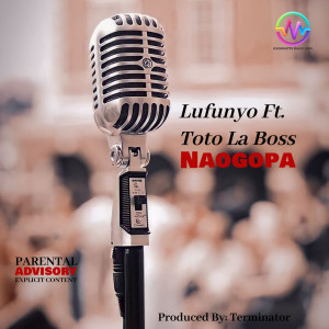 ดาวน์โหลดและฟังเพลง Naogopa (Explicit) พร้อมเนื้อเพลงจาก Lufunyo