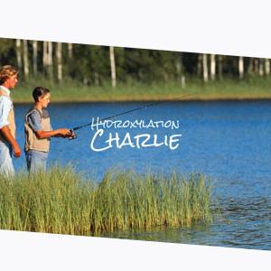 ดาวน์โหลดและฟังเพลง Hydroxylation Charlie พร้อมเนื้อเพลงจาก Wian Calie