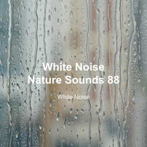 Album White Noise 88 (Rain Sounds, Bonfire Sound, Baby Sleep, Deep Sleep) oleh White Noise