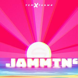 Listen to Jammin' (Main Mix) song with lyrics from sem