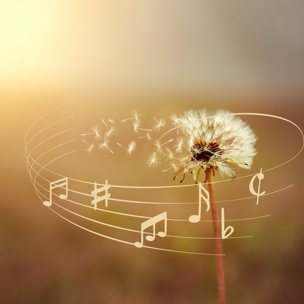 Efficiency Resonance in Music