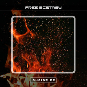 Album Free Ecstasy Choice 22 from Roby Williams