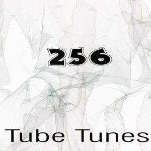 Various的專輯Tube Tunes, Vol.256