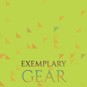 Various Artists的专辑Exemplary Gear