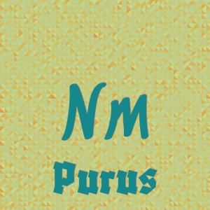 Various Artists的專輯Nm Purus