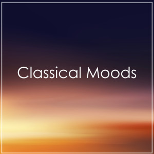 Various的專輯Schoenberg : Classical Moods