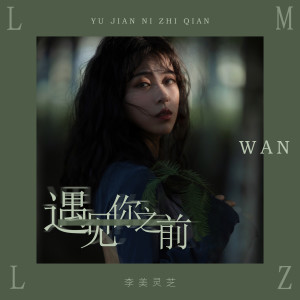 Listen to 遇见你之前 song with lyrics from 李美灵芝