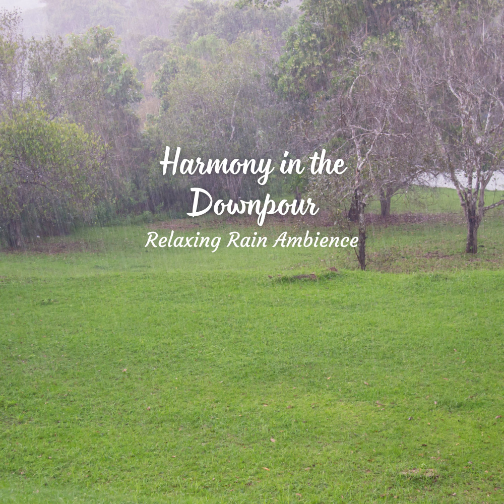 Lightning Strikes Harmony
