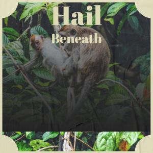 Listen to Sizeable Resources song with lyrics from Belise