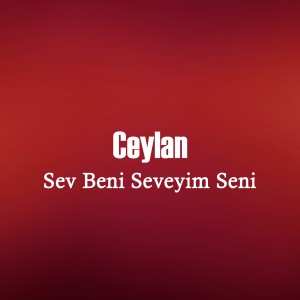 收聽Ceylan的Sürün歌詞歌曲