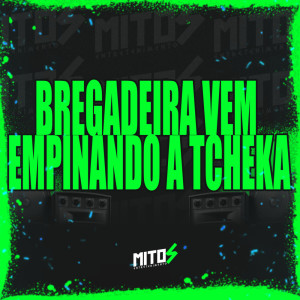 收听DJ DS ASTUTO的Bregadeira Vem Empinando a Tcheka (Explicit)歌词歌曲