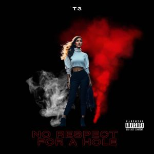 Album No Respect for a Hole from T3