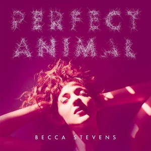 อัลบัม Perfect Animal ศิลปิน Becca Stevens