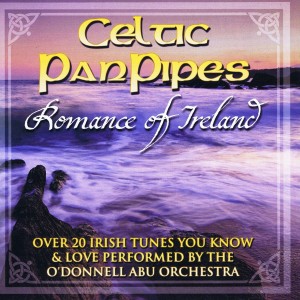 ดาวน์โหลดและฟังเพลง Down by the Sally Gardens พร้อมเนื้อเพลงจาก O'Donnell Abu Orchestra