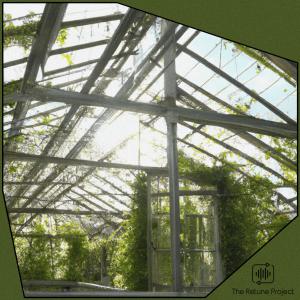 Seatt的專輯Greenhouse