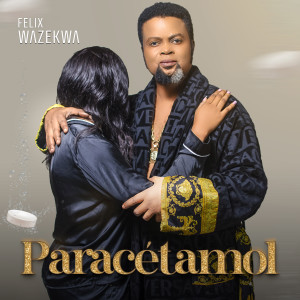 ดาวน์โหลดและฟังเพลง Paracetamol พร้อมเนื้อเพลงจาก Felix Wazekwa