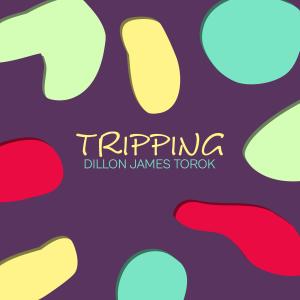 Dillon James Torok的專輯Tripping