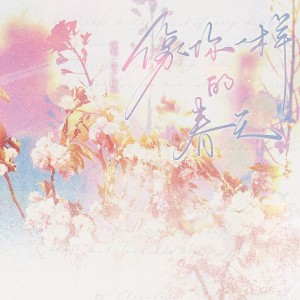 Album 像你一样的春天 from 