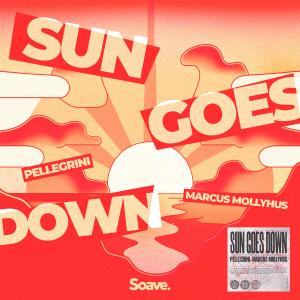 Album Sun Goes Down from Pellegrini