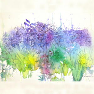 Album Bouquet oleh Eco